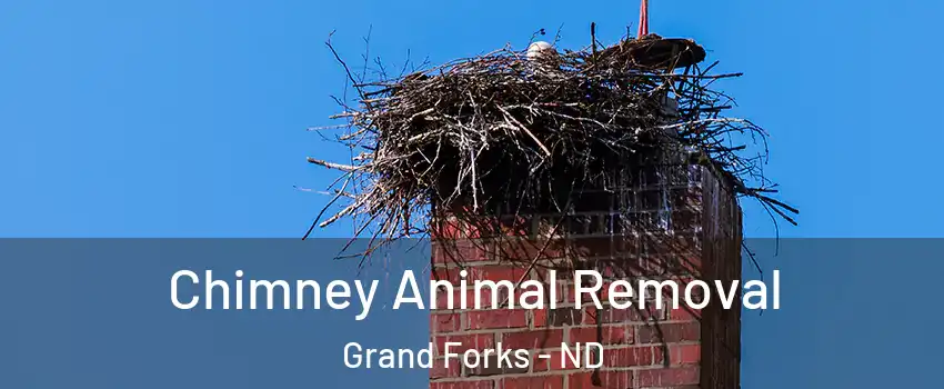  Chimney Animal Removal Grand Forks - ND
