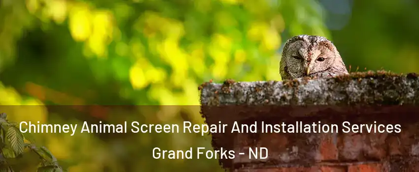  Chimney Animal Screen Repair And Installation Services Grand Forks - ND