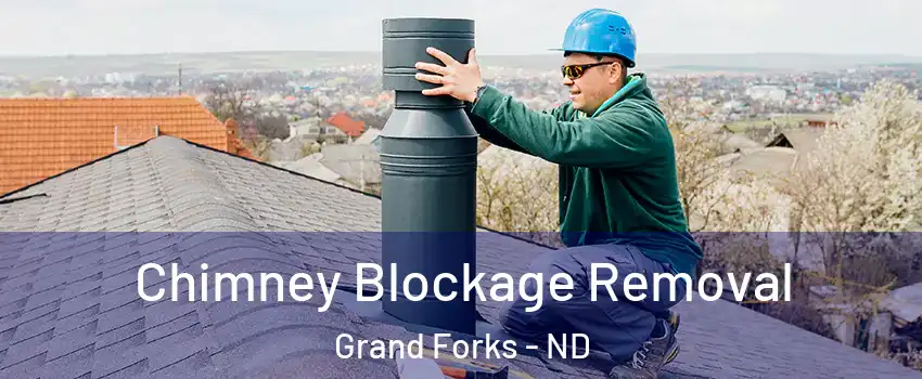  Chimney Blockage Removal Grand Forks - ND