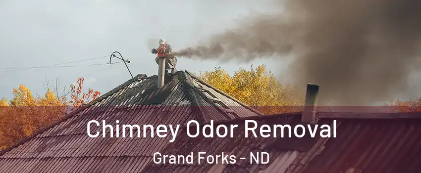  Chimney Odor Removal Grand Forks - ND