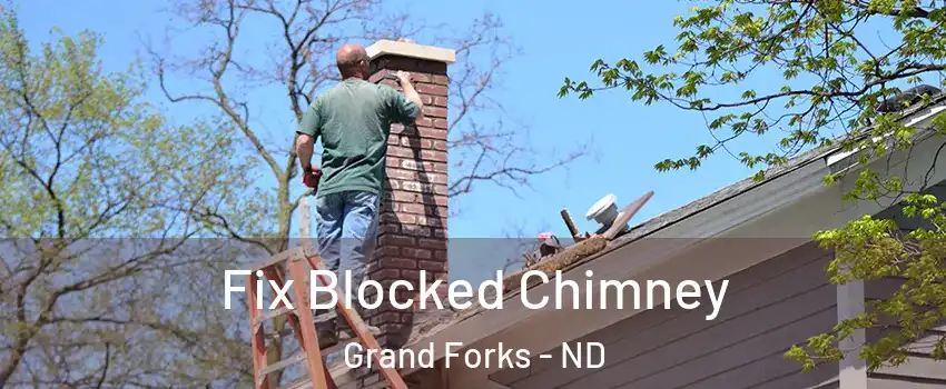  Fix Blocked Chimney Grand Forks - ND