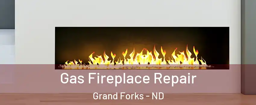  Gas Fireplace Repair Grand Forks - ND