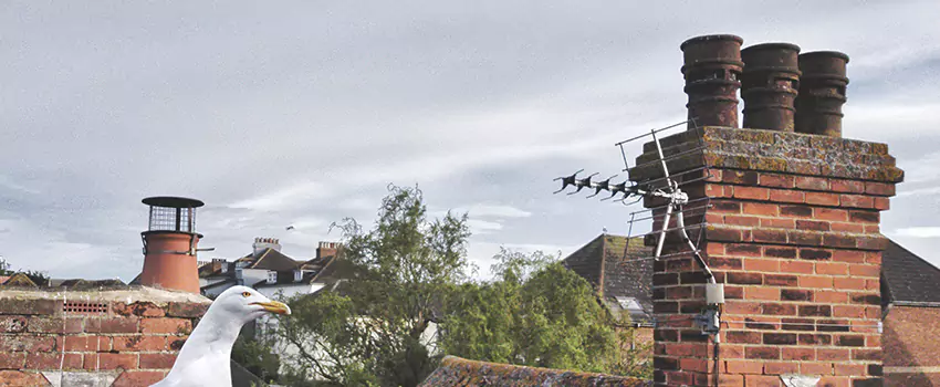 Chimney Cleaning And Restoration in Grand Forks, North Dakota