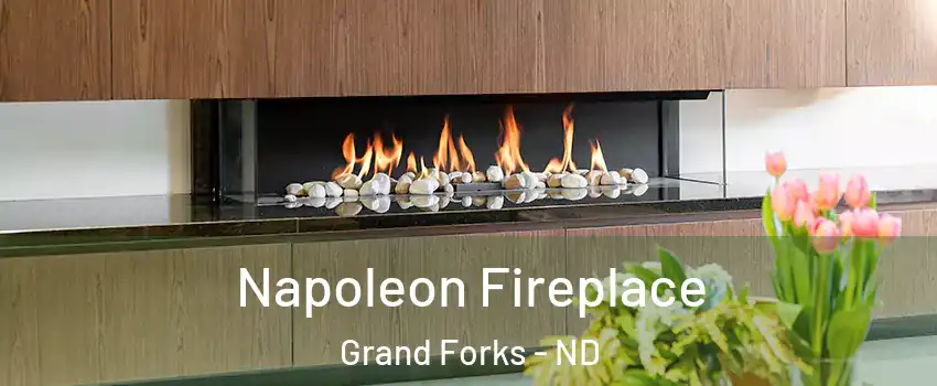  Napoleon Fireplace Grand Forks - ND